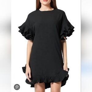 Gracia Black Ruffle Sleeve Dress